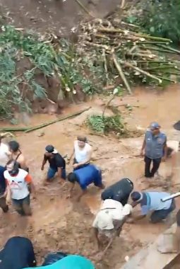 Lansia Hilang Tertimbun Longsor Saat Cari Bambu di Dramaga, BPBD Lakukan Pencarian