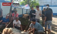PWI Kabupaten Bogor Sembelih 1 Sapi dan 9 Kambing pada Iduladha 1447 Hijriah