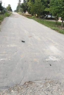 Diduga Proyek Jalan Rabat Beton Desa Senu Marga Senilai Rp108,5 Juta Bermasalah, Warga Soroti Kondisi Fisik yang Rusak